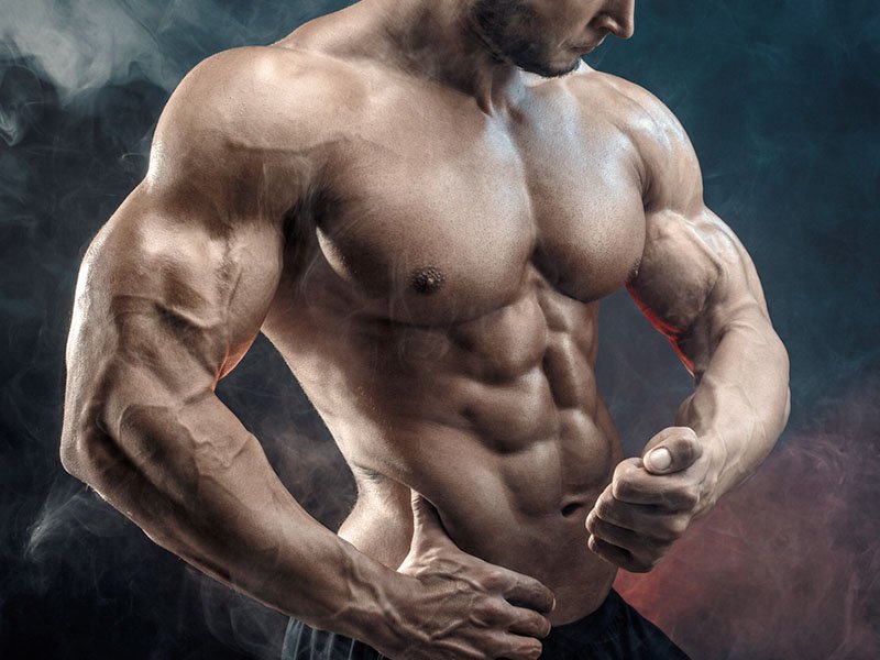 Build Mass and Strength with Creatine 2